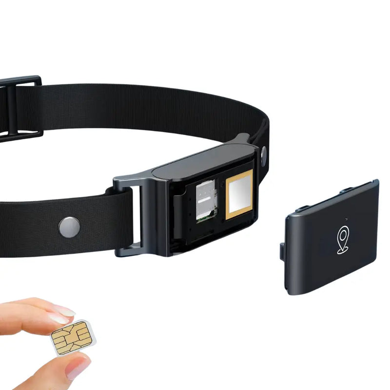 Coleira GPS 4G Pet IP67 à Prova D'água - Rastreamento em Tempo Real