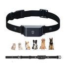 Coleira GPS 4G Pet IP67 à Prova D'água - Rastreamento em Tempo Real