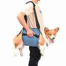 Sling de Suporte Canino Premium Reabilitação Reforçado