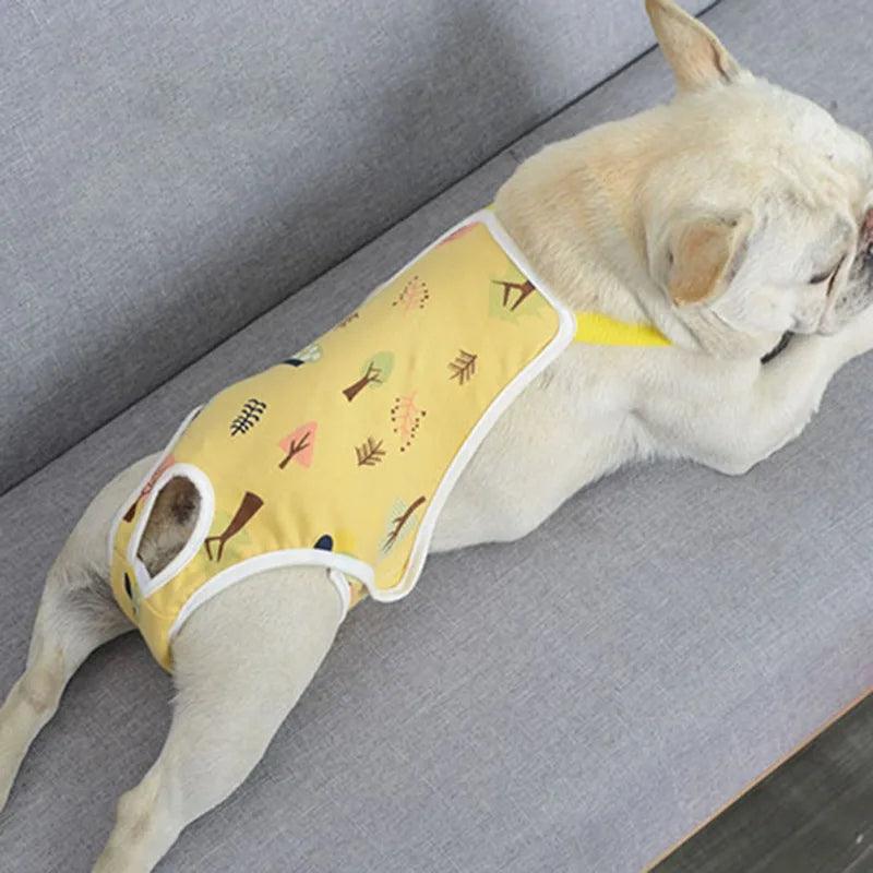 Fralda Macacão Para Cachorros - Conforto e Higiene