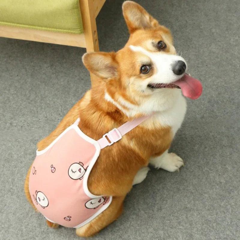 Fralda Macacão Para Cachorros - Conforto e Higiene