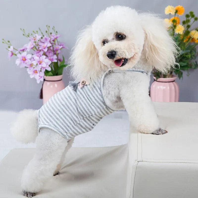 Fralda Macacão Para Cachorros - Conforto e Higiene